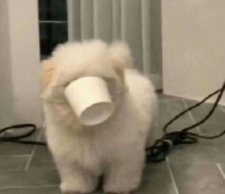 เอ็นดู