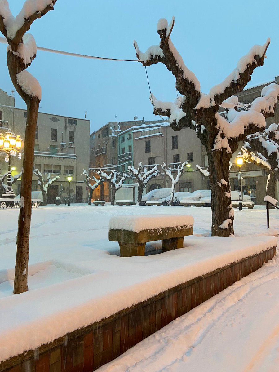 joanquark's tweet photo. @alexmegapc , @meteopolita , @MeteoMauri , uns 20 cm acumulats a Gandesa , Terra Alta a les 8, i continua nevant amb força https://t.co/DaO5odlB6a