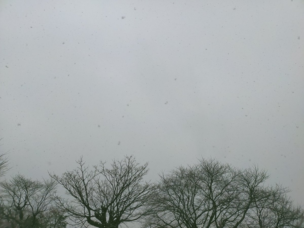 luv_joonie912's tweet photo. #FirstSkyForRM2021
#RM
今、❄が降りはじめたよ https://t.co/zLJ1QsK7O9