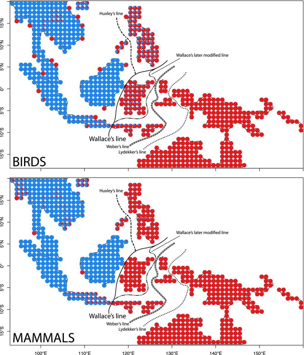 Kushal K Dey (@kanishkadey) on Twitter photo Our new work, led by <a href="/aewhite100/">Alex White</a>, on how STRUCTURE models inform the biogeography around the Wallace line. <a href="/mstephens999/">Matthew Stephens</a> #TrevorPrice 
onlinelibrary.wiley.com/doi/full/10.11… Our new work, led by <a href="/aewhite100/">Alex White</a>, on how STRUCTURE models inform the biogeography around the Wallace line. <a href="/mstephens999/">Matthew Stephens</a> #TrevorPrice 
onlinelibrary.wiley.com/doi/full/10.11…