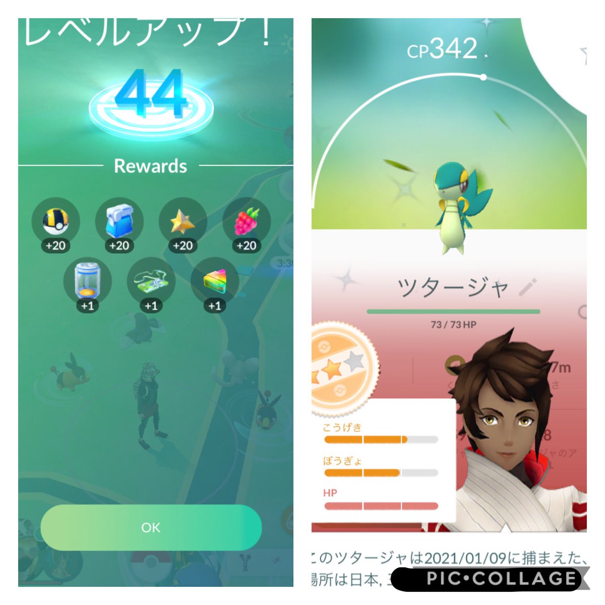 ポケモンgoレベルアップ