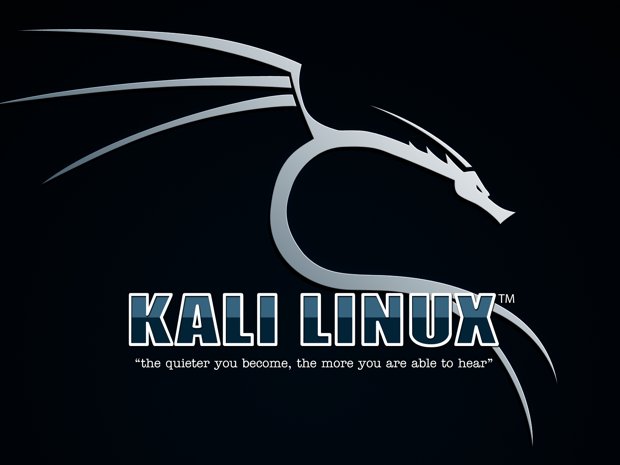DeveloperDevot1's tweet photo. You want  to install Kali Linux in your PC ? Just check out the below link 👇🏻👇🏻👇🏻
https://t.co/jiB0PtKJXv

#developerdevotion 
#Tweet 
#Kali #Linux 
#instal 
#Windows10 https://t.co/E0HMZeIGkA