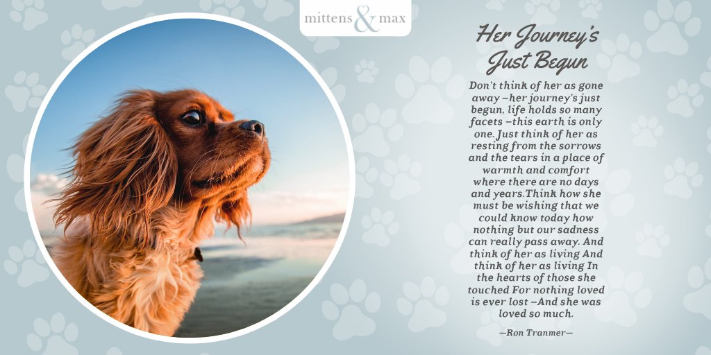 MittensAndMax's tweet photo. #MittensandMax #OTRB #belovedpet #petpoem https://t.co/yUIgE3iT8y
