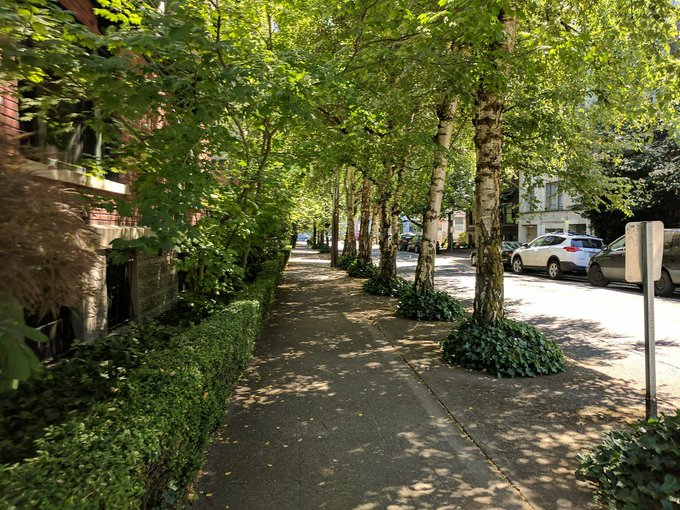 jonburkeUK's tweet image. Increasing tree cover in urban areas can radically reduce temperatures on hot days. One study in Manchester found that shade from street trees reduced surface temperatures by an average of 12°C; concrete surfaces shaded permanently by a bank of trees were cooled by up to 20°C.