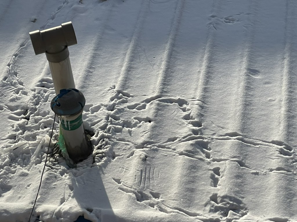 오랜만에 나온 사무실 옆 지붕의 흔적..