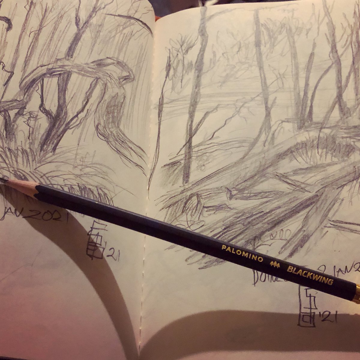 Sketching in nature is always good practice! #sketching #nature #forest #praticemakesperfect #stayfdraws