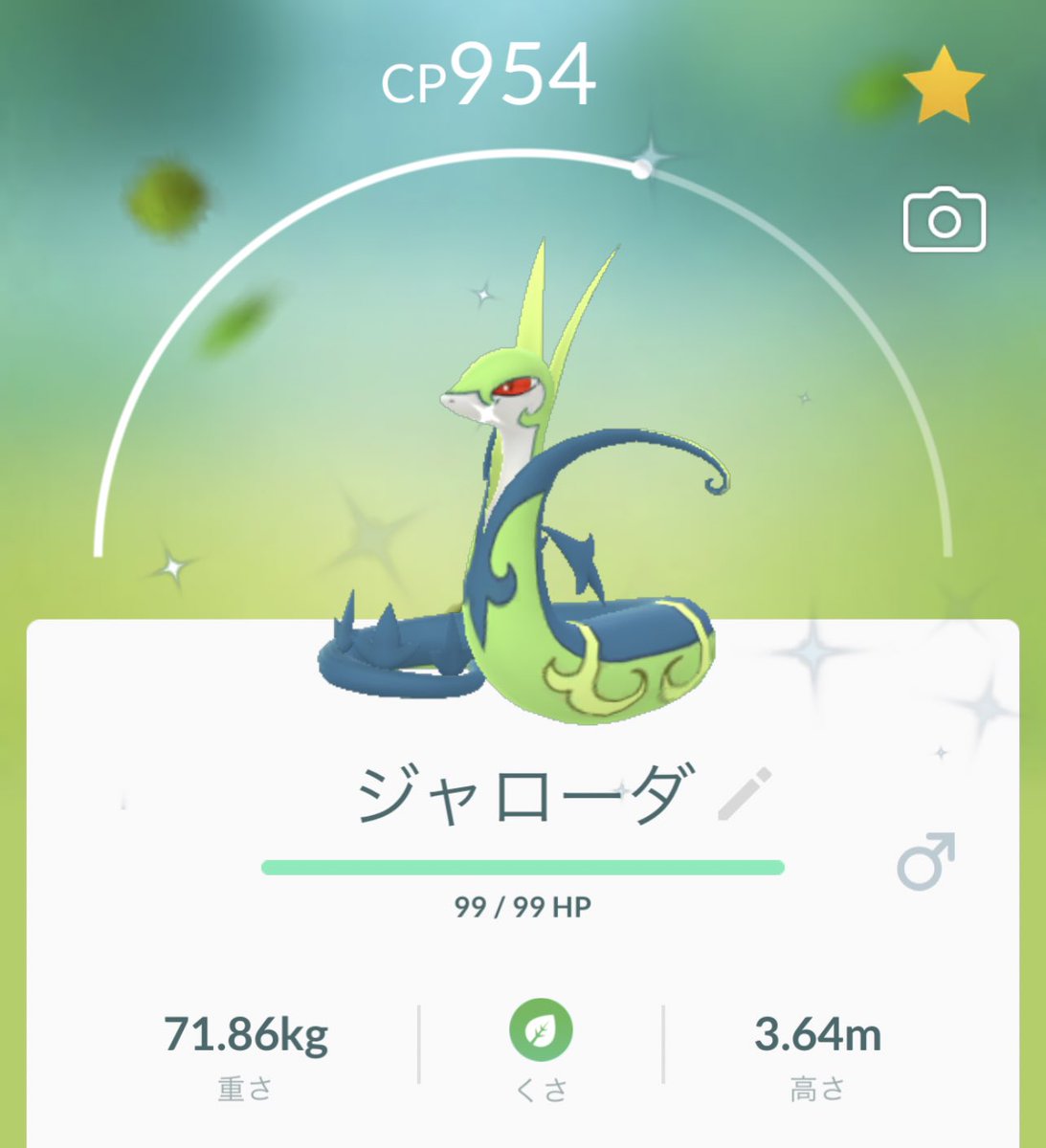 Twitter पर Pikataro ツタージャ出た やった 低個体値やけど 美しいジャローダを拝みたくここは進化じゃー 色違いジャローダ美しす ポケモンgo 色違い ツタージャ Twitter पर Pikataro ツタージャ出た やった 低個体値やけど 美しいジャローダを拝みたくここは進化じゃー 色違いジャローダ美しす ポケモンgo 色違い ツタージャ