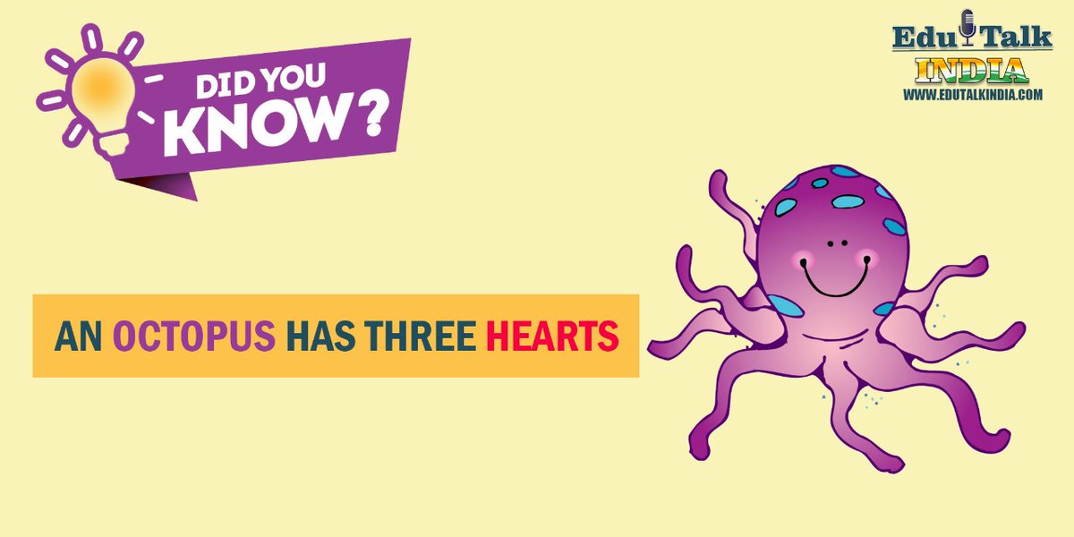 Edutalk8's tweet photo. Did You know?
An Octopus Has Three Hearts.
For more interesting facts &amp; info visit us: https://t.co/375OcEpeem
#Edutalk_india #intrestingfacts #DidYouKnow #information #knowledge #edutalkindia #Edutalk https://t.co/HGHWxIPzOA