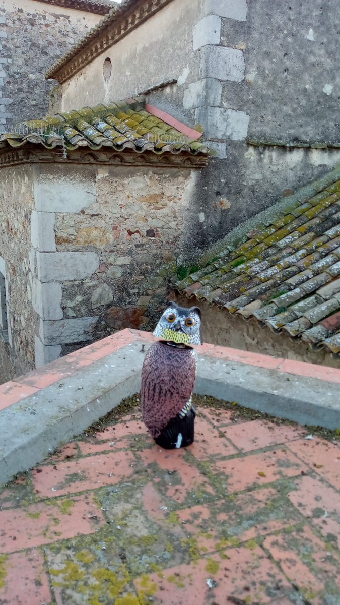 Vijia de #nieve , ¡No tardará!❄️🌨️.