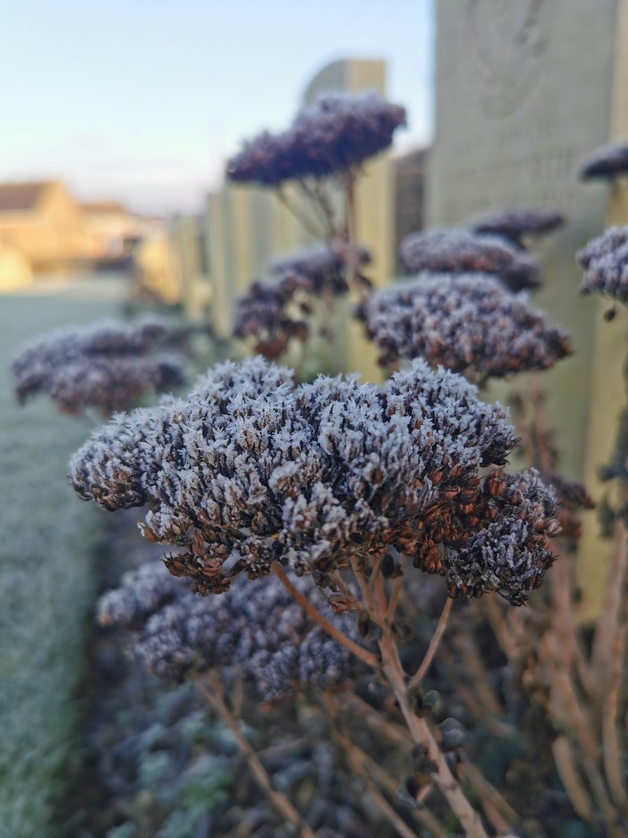 SamuelRebeille2's tweet photo. La nature est figée -3° #RibecourtBC @CWGC https://t.co/tQUN6KQBEG