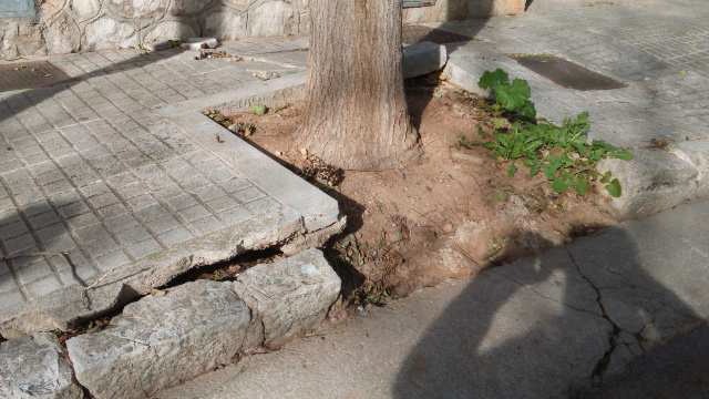 🛠️Dilluns començam a renovar les voreres de Can Pastilla

🔛Invertim 170.000 euros en una renovació integral de voreres dels carrers Miquel Massutí, Antoni Llabrés i Morey i Eaktai Ahn

🙌Donam resposta a una petició de l'AAVV  Sant Antoni de la Platja Can Pastilla