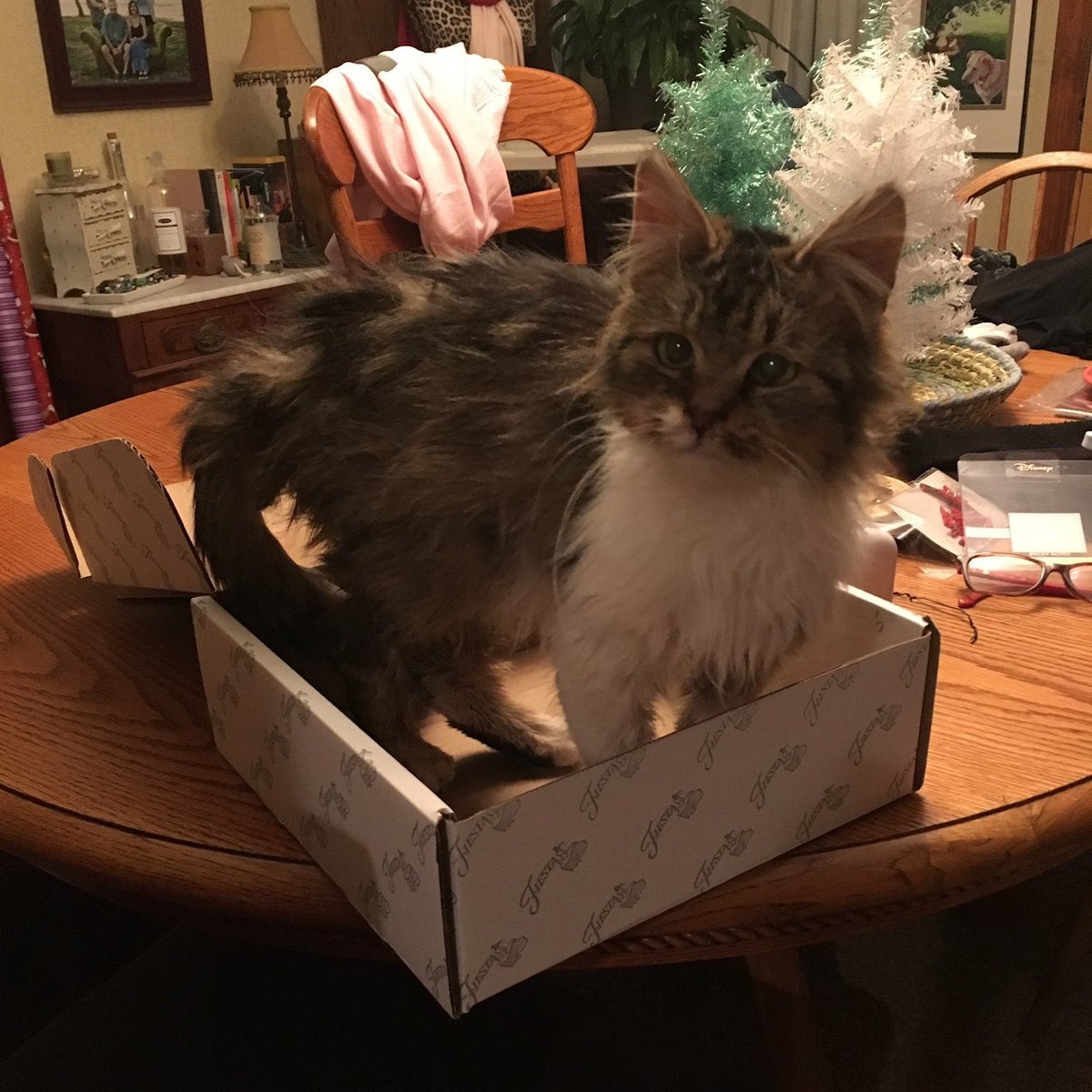 Sigrun /  @UVOGlN's Mae