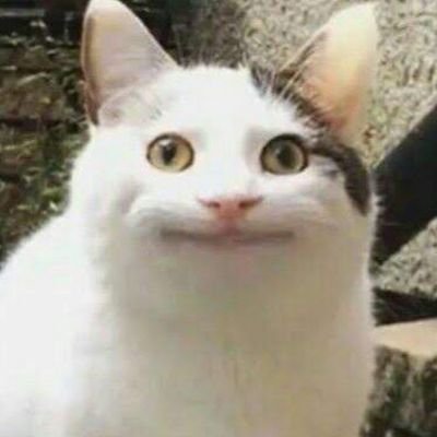 Anders / cat that goes :-|