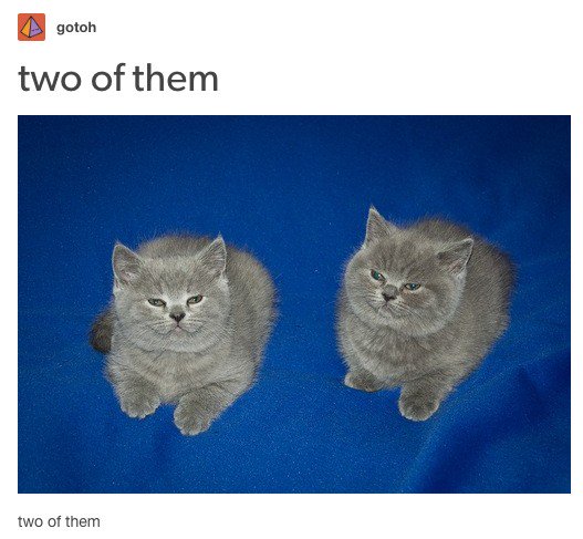 Carver and Bethany / two of them