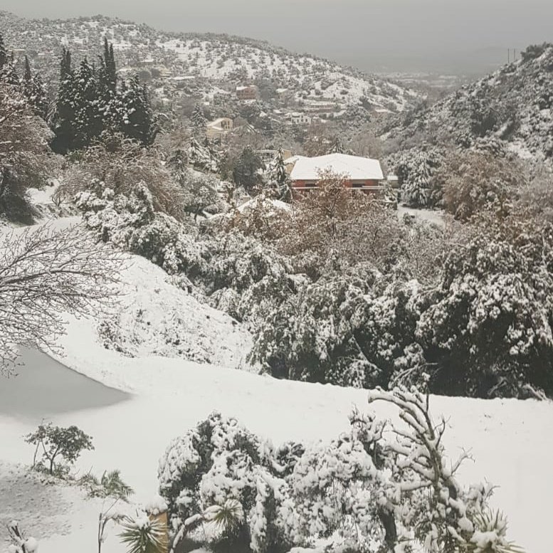 Went to sleep last night looking forward to today's big game between St Esteve and Lezignan at the Brutus, woke up this morning, looked out of the window and this has happened 😣
❤💛