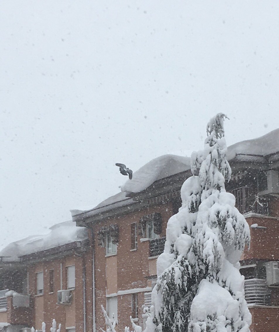 Cuidado con andar cerca de bloques. Vivo en un último y están los tejados con muchísima nieve. He estado a punto de ver un accidente en directo. Un señor estaba sacando al perro en mi calle, he visto como se desprendía un bloque de nieve/hielo del tejado y le ha caído a un metro.