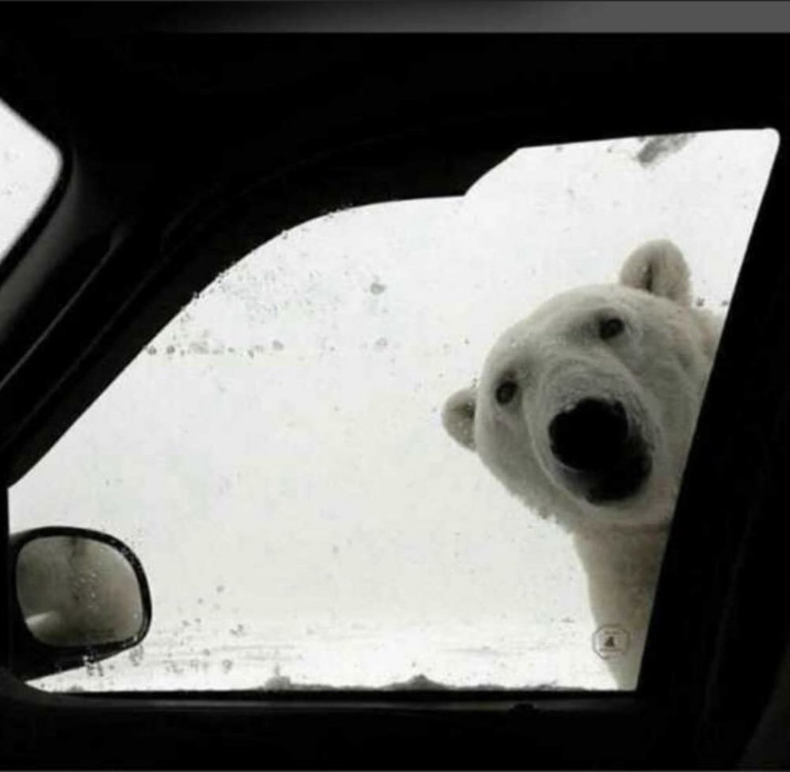 #FelizSabado acabo de ver esto en el cruce entre la #M30 y #M40 en #Madrid #Filomena #FilomenaAMiPesar