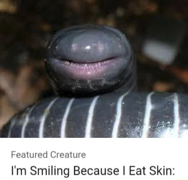 ExaltedWing's tweet image. 