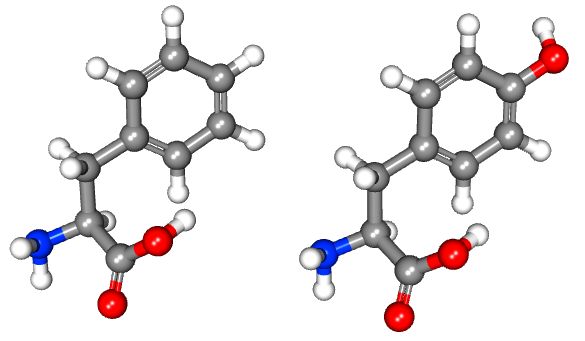 佐藤健太郎 今日の構造式 63 種のアミノ酸の一つ システイン Sh基があるため 他のアミノ酸 にはない特殊能力を持ちます たとえばイオウ原子は重金属イオンにくっつきやすく これらをタンパク質内に保持します こうしたタンパク質は アミノ酸だけ