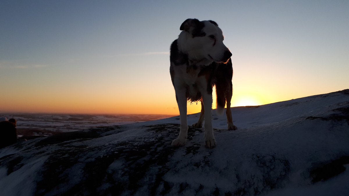 JamesFStone's tweet photo. Early morning walk to my local 'mountain', #AlmscliffCrag @StormHour @yorkshirepost @HgateAdvertiser https://t.co/7H3pNttQA2