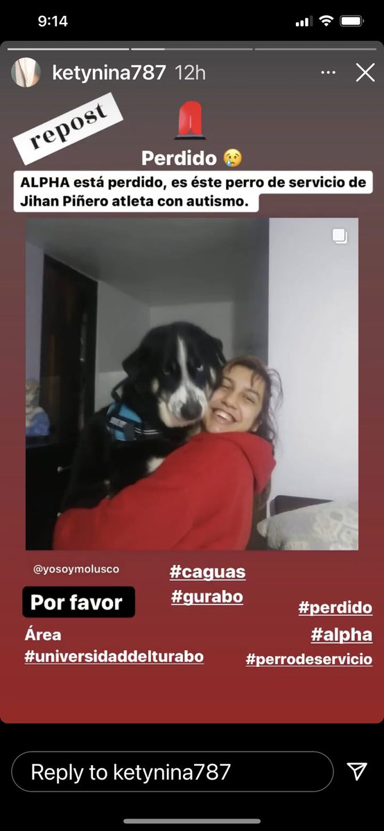 albertcomedy's tweet photo. Por favor si alguien lo encuentra ! https://t.co/SOcvD5fIgI