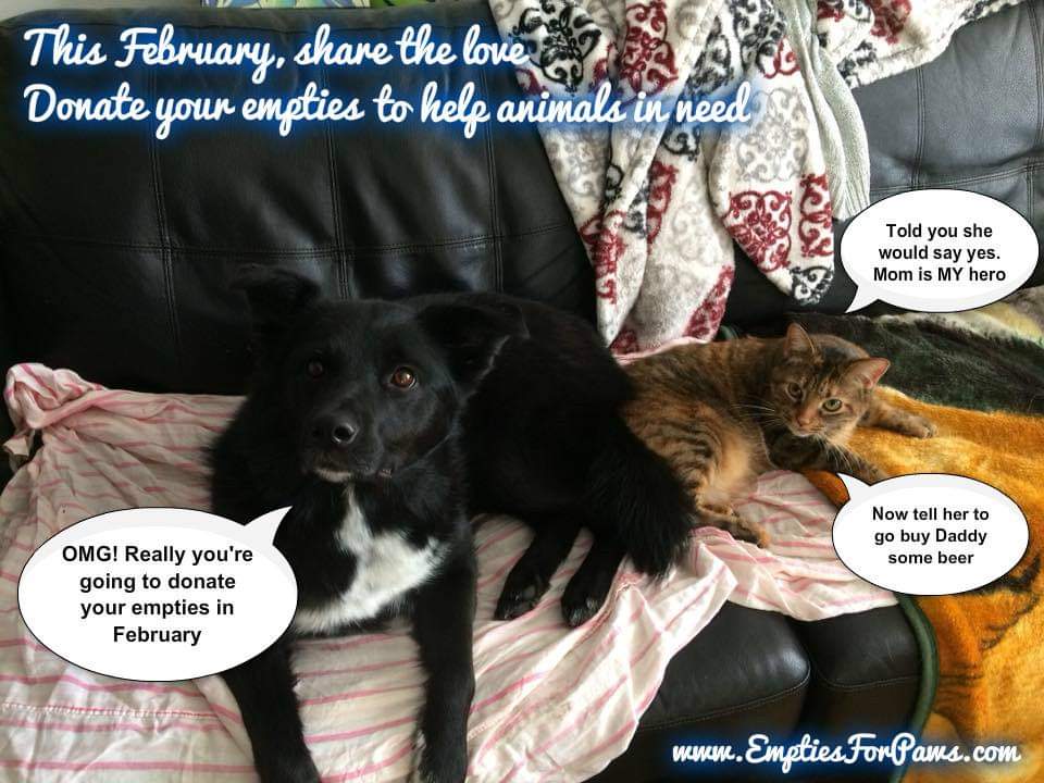 Share the Love. Donate empty beer, wine/liquor bottles. Organize bottle drive between family/friends/coworkers collect 4 favorite animal rescue. Find bottle drive on emptiesforpaws.com  Donate empties all year not just Feb. Over 580K raised since 2015 #Recycle4Animals ♻️🐾