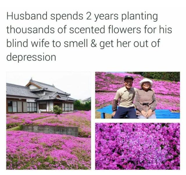 WholesomeMeme's tweet photo. https://t.co/Xs2Slz44RH