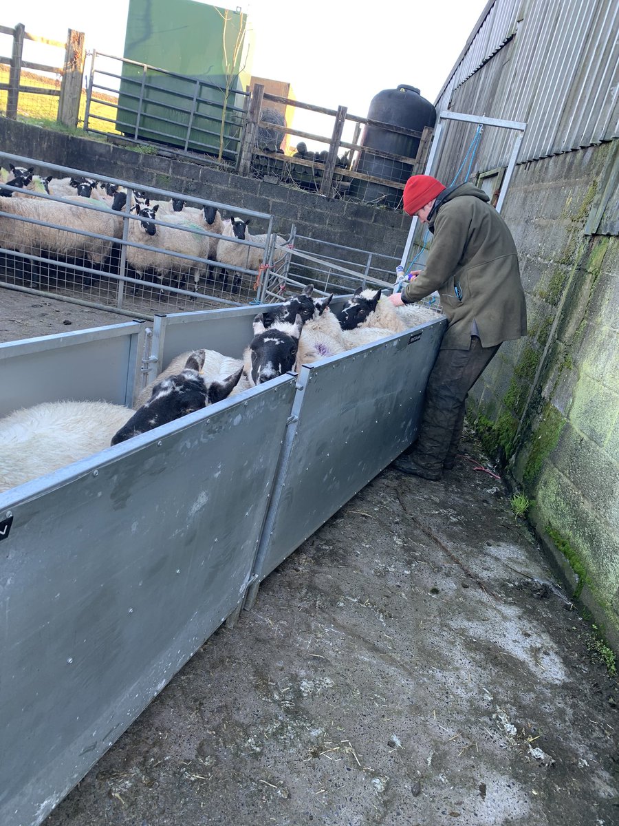 #Happyplace #beulah #beulahspeckleface