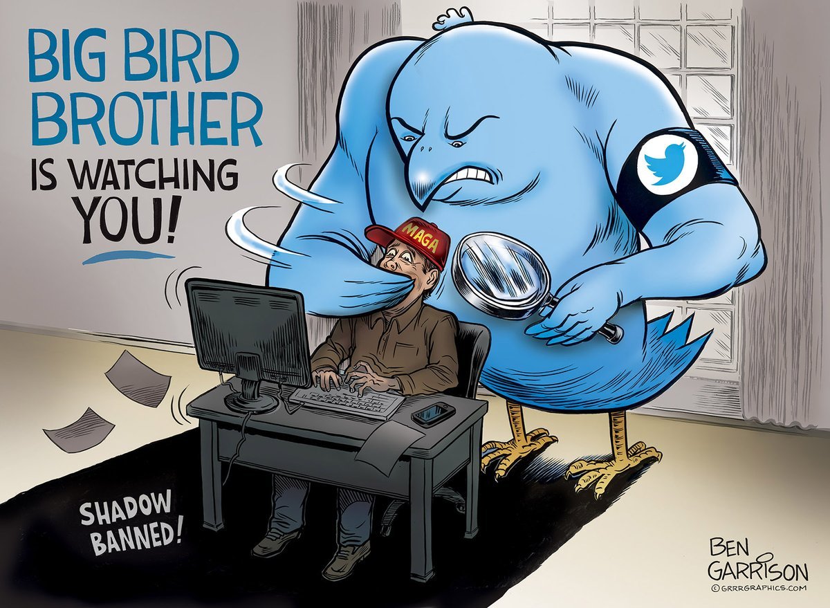 Cartoonist en Trump-aanhanger Ben Garrison van Twitter gebanned. De zuivering van andere meningen gaat lustig door op de tonen van de 'vrijheid'.