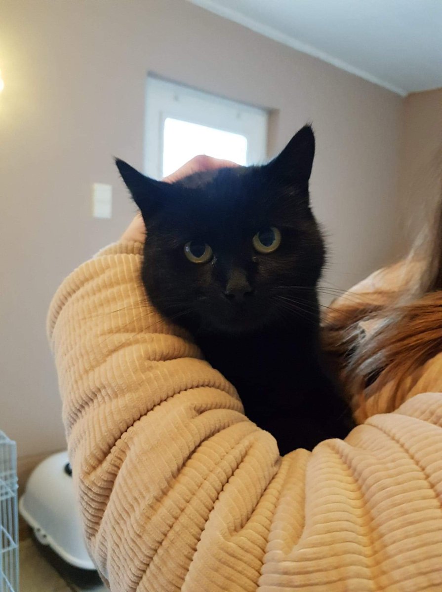 Leesa's tweet image. Welcome to the fam, Sam 💕