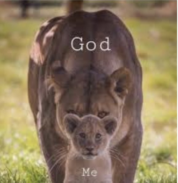 Emmanue37844681's tweet photo. “Yea, though I walk through the valley of the shadow of death, I will fear NO evil: for thou art with me; thy rod and thy staff they comfort me.”✝️
Psalms 23:4 https://t.co/SAfNAAnuVc