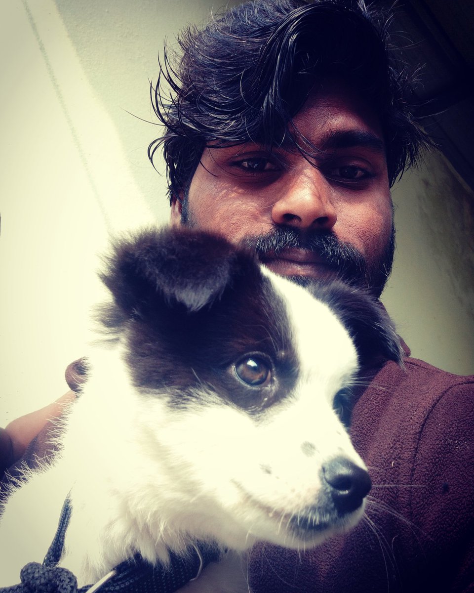 medishankar_'s tweet photo. Sir @purijagan garu, With ur Inspiration, i'm also raising a Pet, it named as "iSMART", and it is Dedicated for you❣️
ur Love for NATURE,ANIMALS, ur sympathy for HUMAN beings, ur passion for all of these is amazing.
Thank u for influencing me so much as evrything. #ISmartShankar https://t.co/37uwBlmmIR