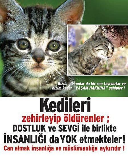 CeylanAydas's tweet photo. #Hayvan #hayvanlardacan #HayvanaSiddetSuctur #HAYVANHAKLARIYASASIHEMEN #hayvanhaklarıyasasınerede #hayvanhapishaneleriyasaklansın https://t.co/bIQbYsWiIc