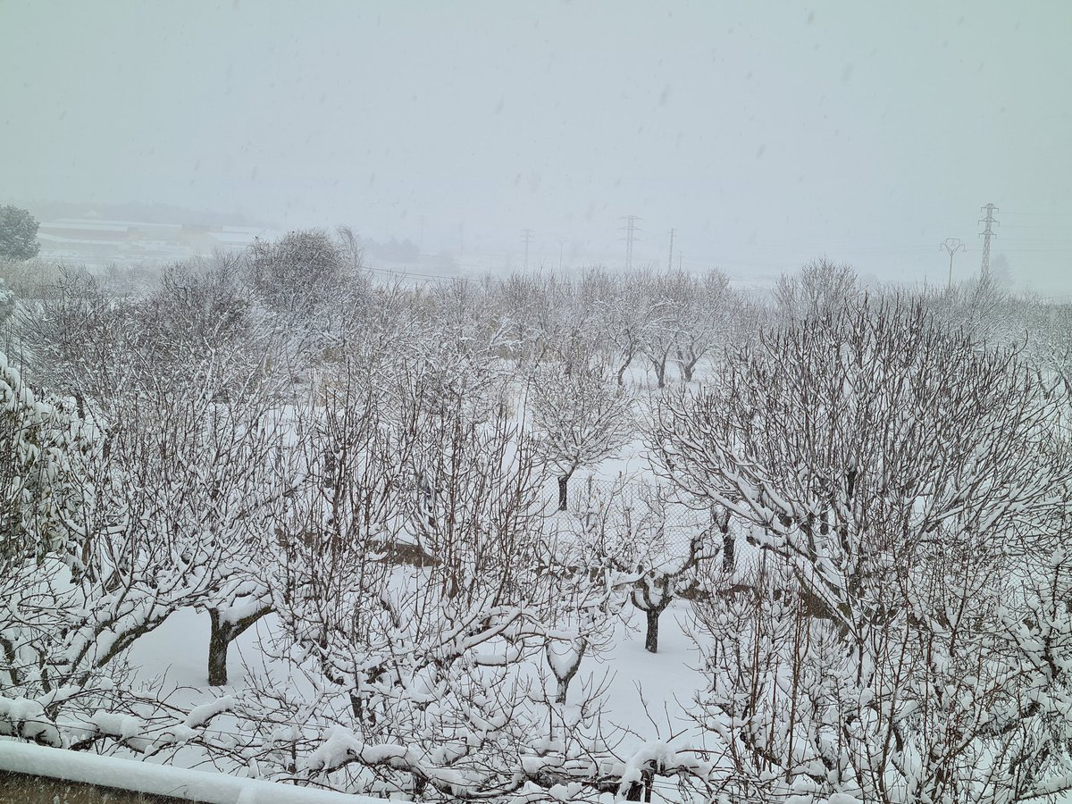 AlejandraMcj4's tweet photo. @tiempobrasero Nieve en Borja #Filomena #Eccehomo #Snow https://t.co/zOpUZedruy