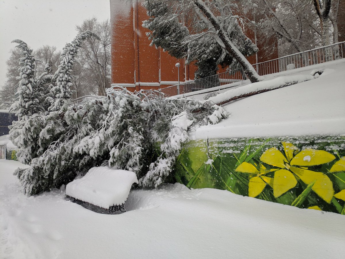 Adrian_EB_'s tweet photo. #nieve #NieveenMadrid #Filomenamadrid #filomena #madrid #BorrascaFilomena https://t.co/sNPLml5ufZ