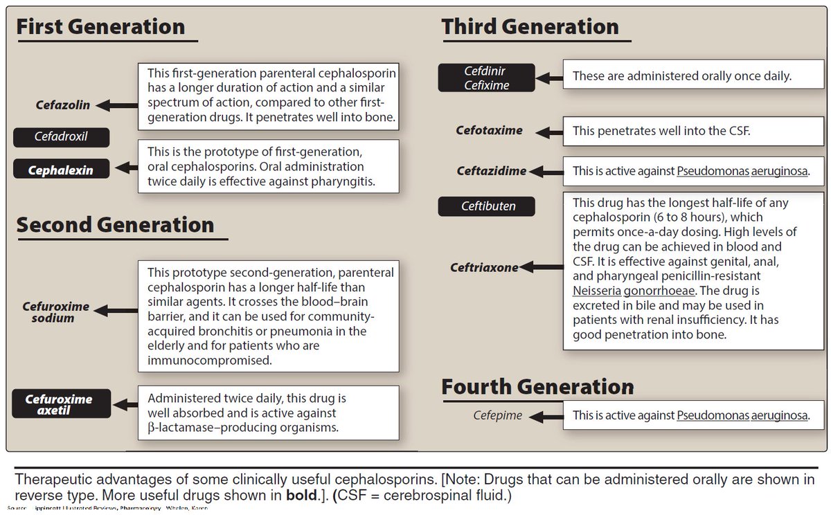 ManualOMedicine's tweet photo. Therapeutic Advantages of Some Clinically Useful Cephalosporins . 
Source : https://t.co/PXDa0N60Mx
#meded #foamed #foamrx #medtwitter https://t.co/RhTFf1NXrK