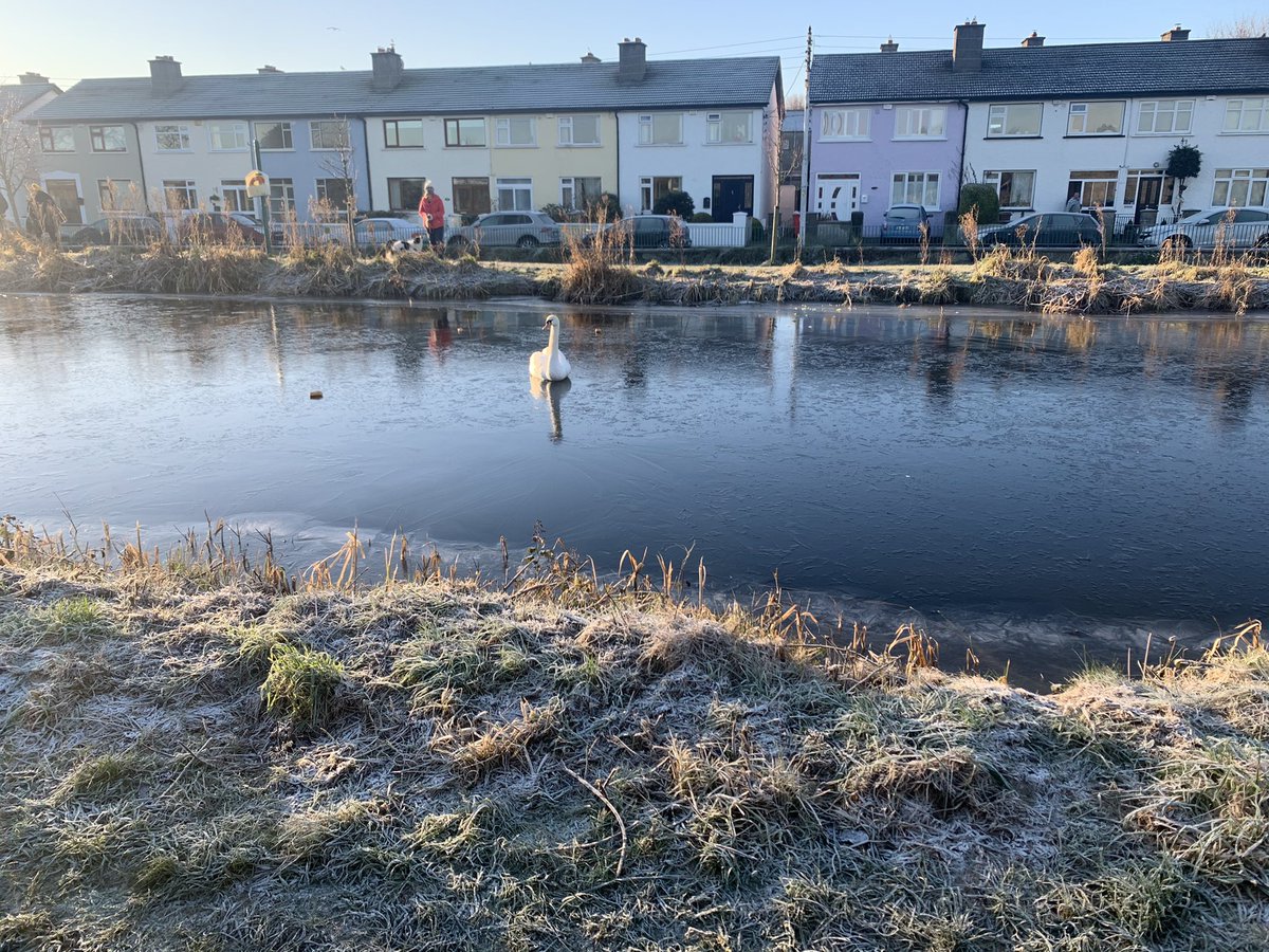 Dr. Stephanie O'Keeffe 🇺🇦 tweet media