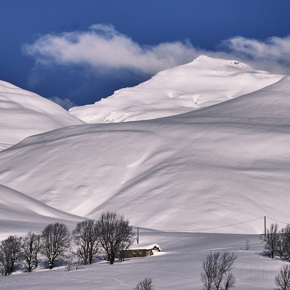 La Picón Castro tweet media