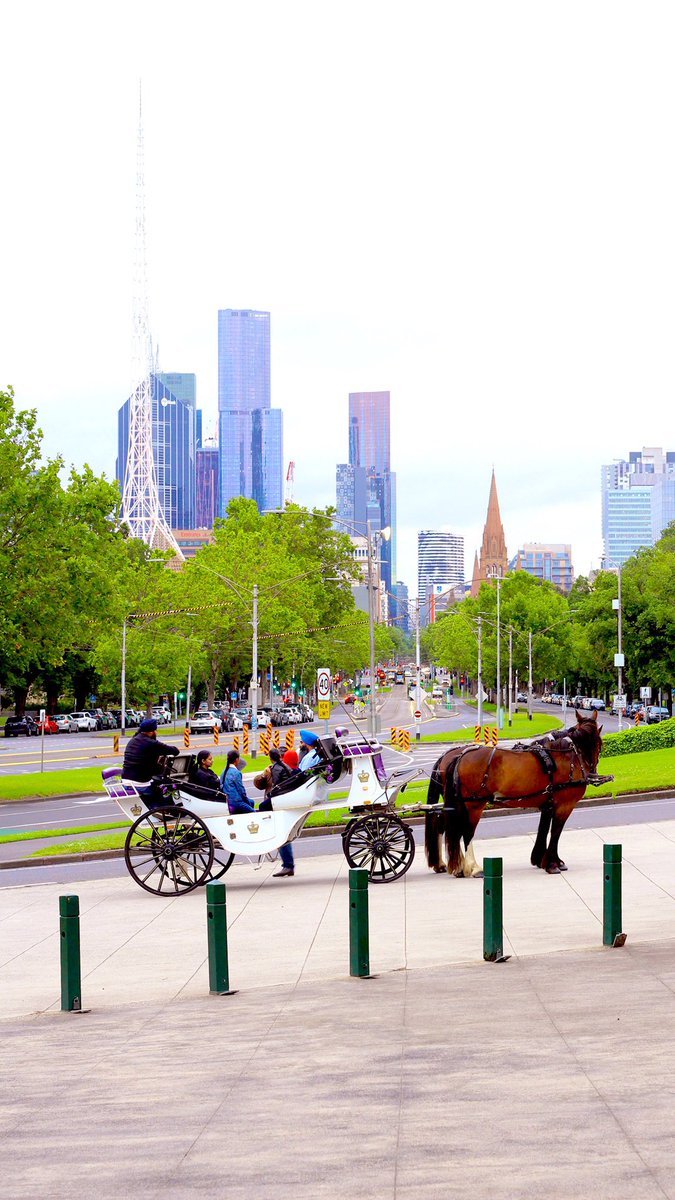 Melbourne_vic1's tweet photo. Beautiful of #Melbourne ♥️ https://t.co/sb0tYfew8k