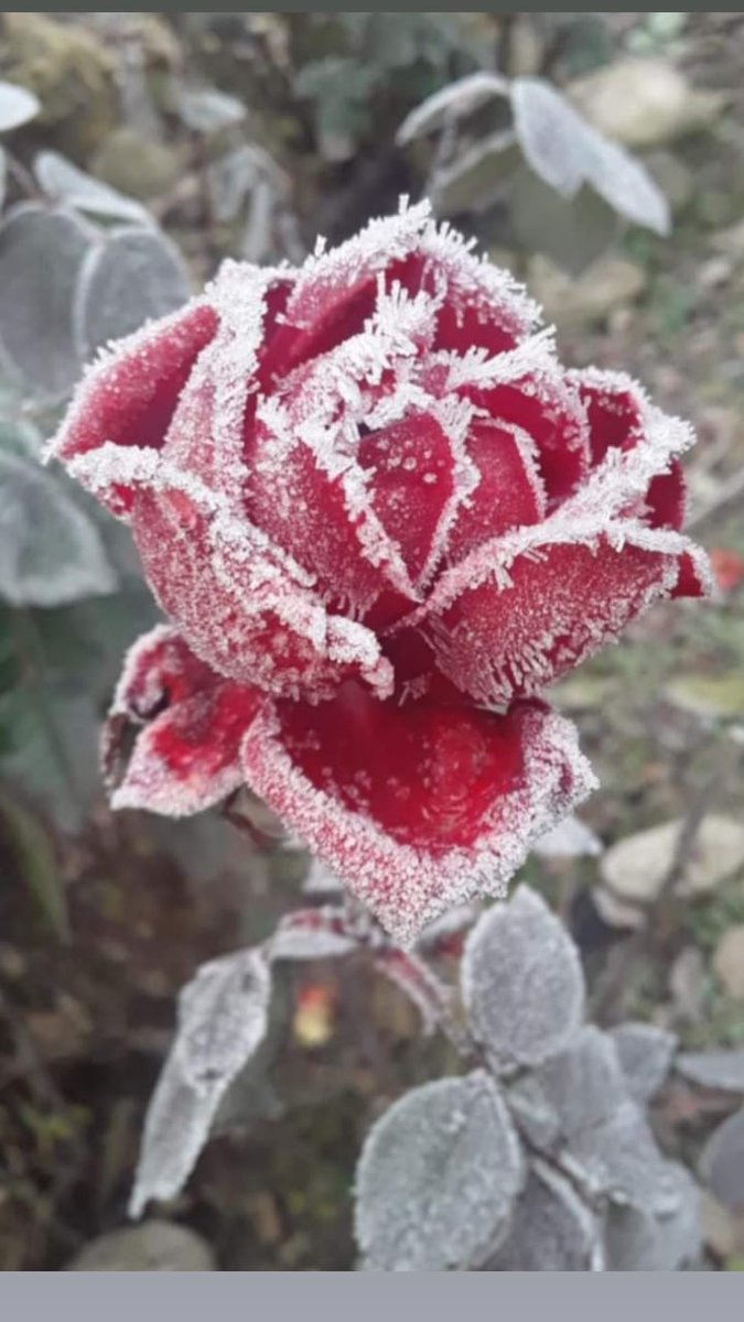 Sabahattin Alinin dediyi kimi. Satın alınamayacaq şeyləri sevirəm mən. Dəniz kimi, göyüzü, ay kimi, günəş və sevgi kimi.