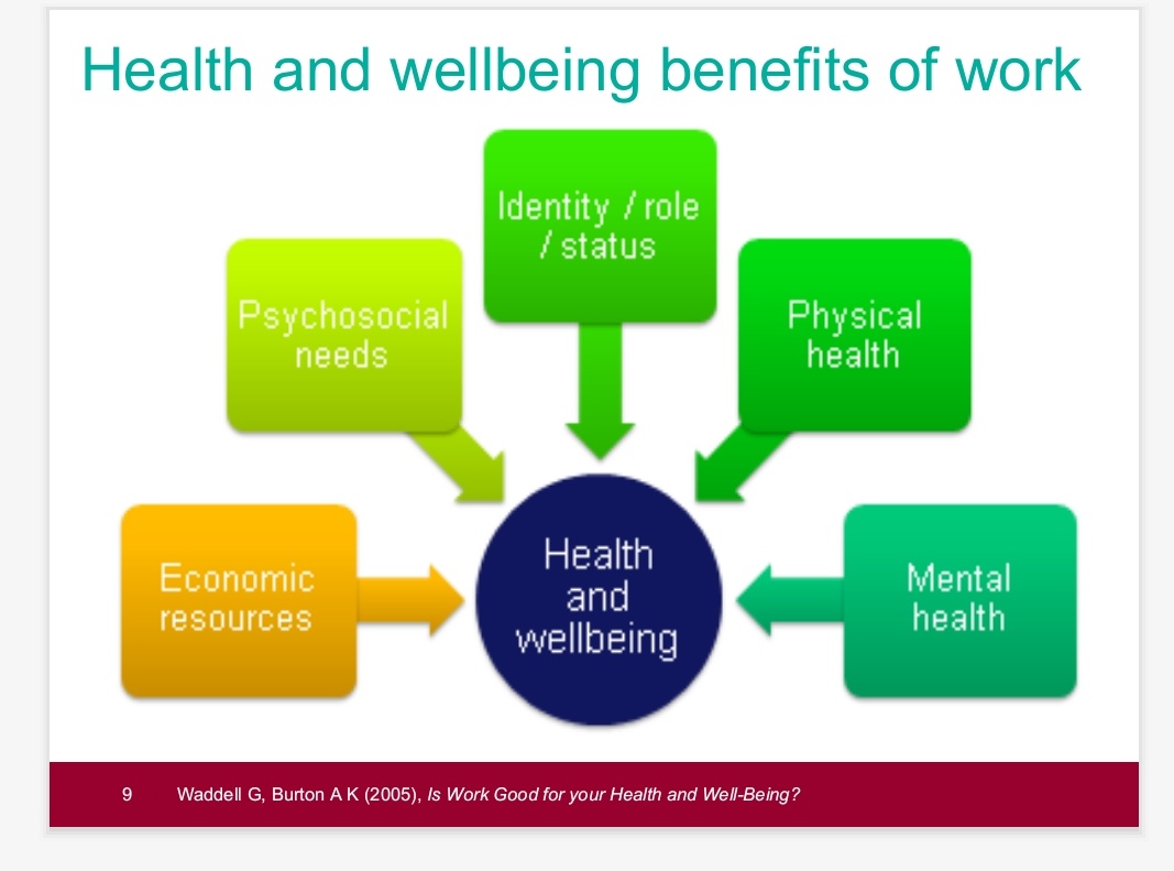 RosieshetheOT's tweet photo. Last month we virtually delivered RCOT Health & Work training to the LPMHSS Swansea. It was great to see so many interested in what part they can play. What do you feel your role is in considering work as a health outcome? @OTVanessa_K @RCOTWalesRegion @RCOT_Gen #HealthWorkChamps https://t.co/0TKyblvFsB
