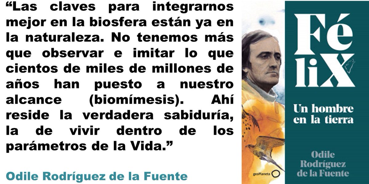 BienestarRespon's tweet photo. 14 #libros2020 para #bienvivir
5/14 Felix, un hombre en la Tierra de @odilerf
Obra, vida y pensamiento de Félix Rodríguez de la Fuente donde la #Naturaleza es la conciencia y pedagogía para la vida. Hoy más necesario que nunca... https://t.co/kdq9fM7n2O