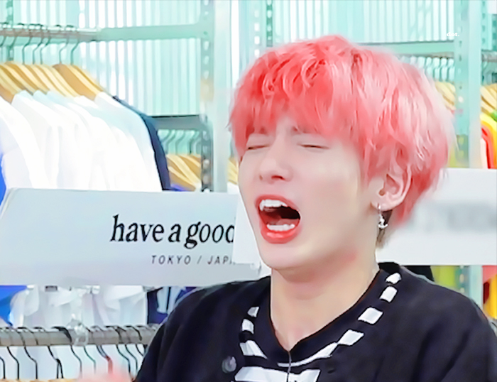 비슷하게 귀여운 편