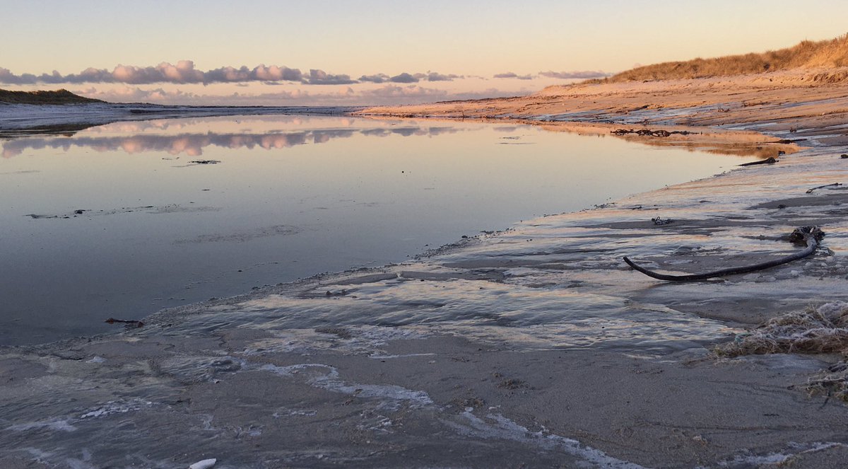 Technical difficulties 

Our webshop is having an off-day today. We’re working on it and hope to have it back in business very soon. We’ll keep you posted.

~Calming scenes of January ice on the beach at sunrise, South Uist~
