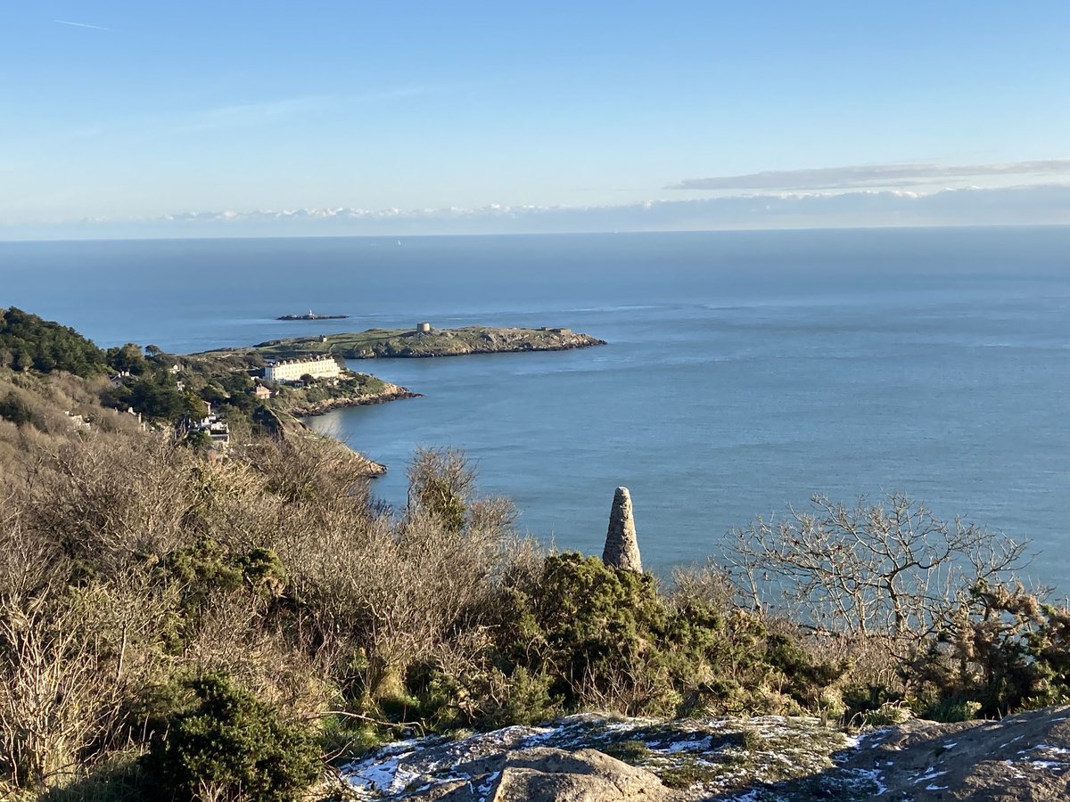 Grapevine Dalkey tweet media