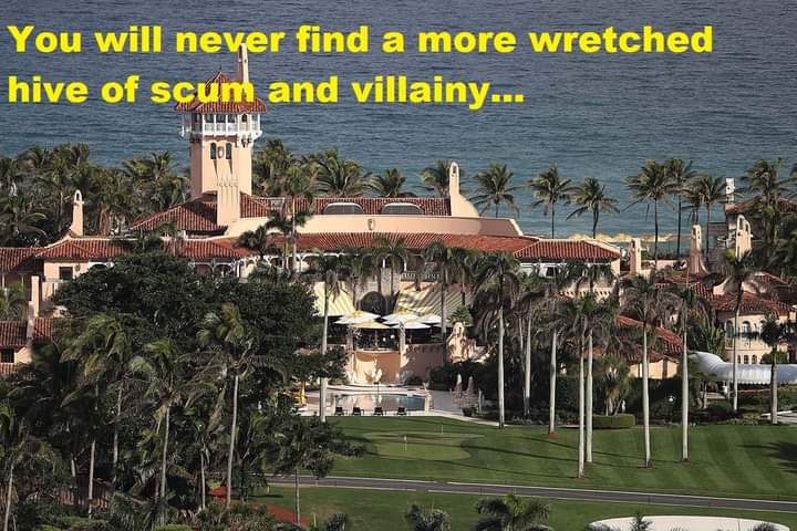 #Trump #DerangedDon
