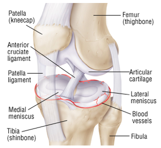 Believe it or not, meniscal tears are quite a common occurrence in active and inactive people alike. They’ve often been operated on and “tidied up” or “cleaned out”. Recently,  the mentality toward meniscal tears has shifted somewhat, but why? Click below!
ow.ly/ZYRS50D3suR