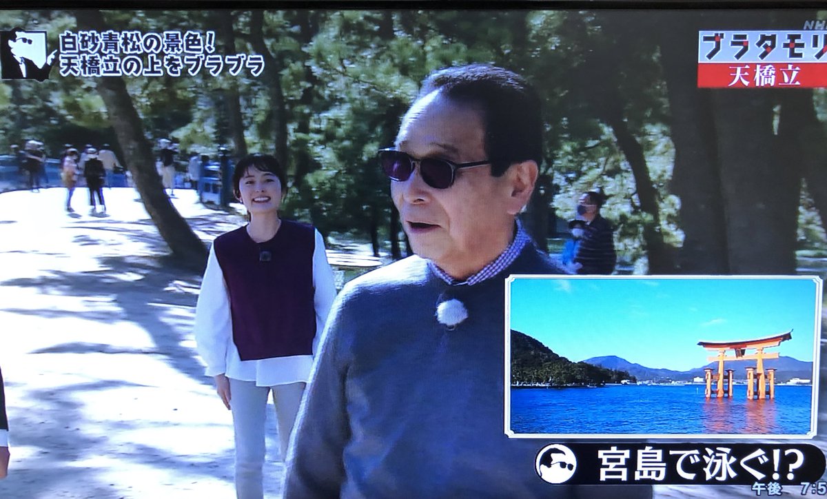 天橋立 江戸時代に人々が目指した 絶景 は今の景色とは違っていた ブラタモリ 2ページ目 Togetter 天橋立 江戸時代に人々が目指した 絶景 は今の景色とは違っていた ブラタモリ 2ページ目 Togetter