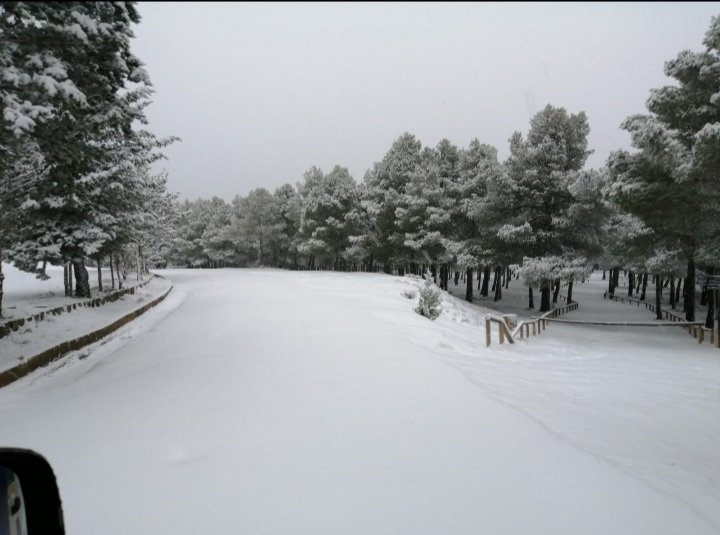 anasilvestr_'s tweet photo. Preciosa está Ayora nevada. ❄#Ayora #ValleDeAyora #LaHunde #València https://t.co/iTO1ORC0Ti