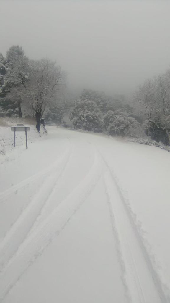 anasilvestr_'s tweet photo. Preciosa está Ayora nevada. ❄#Ayora #ValleDeAyora #LaHunde #València https://t.co/iTO1ORC0Ti